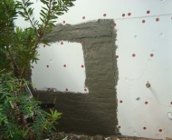 41