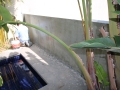 Melbourne Tuscan Render Concrete Render (49)