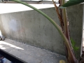 Melbourne Tuscan Render Concrete Render (50)