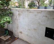 Elwood Rendering Polished Concrete 14