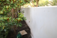 Elwood Rendering Polished Concrete 5