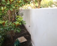 Elwood Rendering Polished Concrete 5